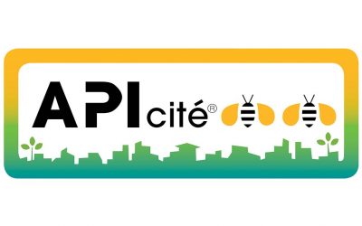 APICITE